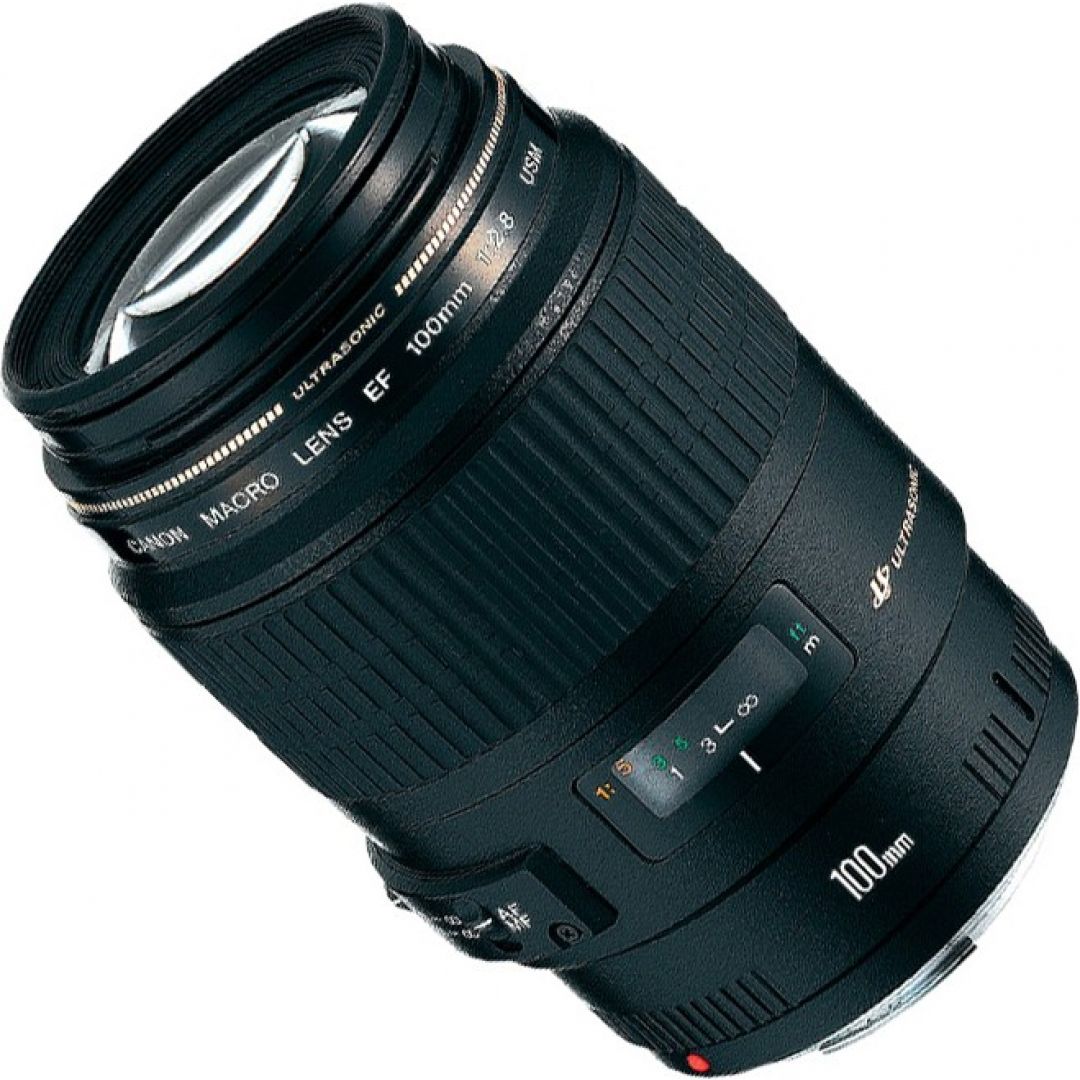 Nikon af-s 70-300mm f4. 8 macro usm. Nikon 70 300 vr. Байлеры канон или нет. 8-4 series 1 vmc macro фотографии.