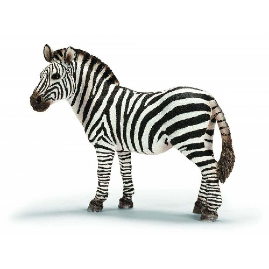 Фигуры животных. Фигурка Schleich Зебра самка 14392. 14810 Schleich кобыла зебры. Schleich 14391 Зебра. Бурчеллова Зебра шляйх.