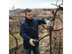 BOSCH Pro Pruner 0.601.9K1.020 | Фото 2