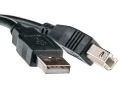 PowerPlant USB 2.0 AM – BM 5m One Ferrite (KD00AS1227) | Фото 1