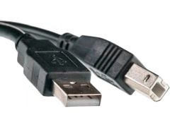 PowerPlant USB 2.0 AM – BM 3m One Ferrite (KD00AS1221) | Фото 1