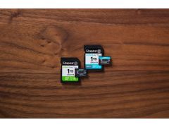 KINGSTON microSDXC 256Gb Canvas Select + Gen3 150MB/s A1 +Ad (SDCS3/256GB) | Фото 3