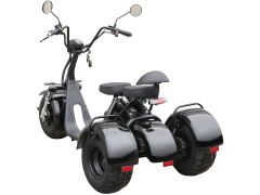 MAXXTER TRIKE, 1000Вт, черный | Фото 2