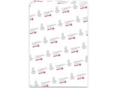 XEROX A4 Colotech+ Silk (003R90355) | Фото 2