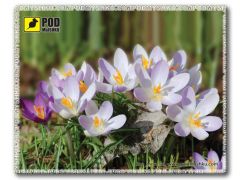 PODMYSHKU Весна-Крокусы | Фото 1