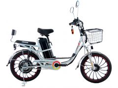 ARDIS EXPRESS 20" CTB ST з батареєю (4073Е) | Фото 1