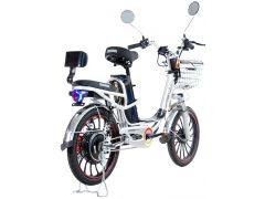 ARDIS EXPRESS 20" CTB ST з батареєю (4073Е) | Фото 3