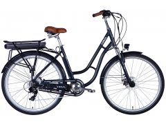 Dorozhnik eCORAL DD FR рама-19" 48B 13А*г 500Вт темно-сірий 2026(ELB-D-28-114) | Фото 1