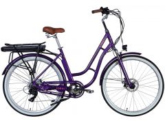 Dorozhnik eCORAL DD FR рама-19" 48B 13А*г 500Вт фіолетово-синій 2026(ELB-D-28-116) | Фото 1