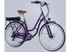 Dorozhnik eCORAL DD FR рама-19" 48B 13А*г 500Вт фіолетово-синій 2026(ELB-D-28-116) | Фото 2