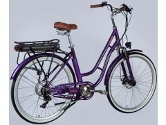 Dorozhnik eCORAL DD FR рама-19" 48B 13А*г 500Вт фіолетово-синій 2026(ELB-D-28-116) | Фото 3