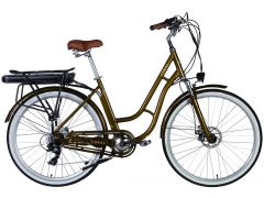 Dorozhnik eCORAL DD FR рама-19" 48B 13А*г 500Вт бронзовий 2026(ELB-D-28-115) | Фото 1