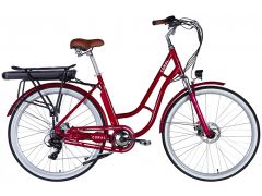 Dorozhnik eCORAL DD FR рама-19" 48B 13А*г 500Вт рубіновий 2026(ELB-D-28-117) | Фото 1