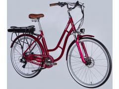 Dorozhnik eCORAL DD FR рама-19" 48B 13А*г 500Вт рубіновий 2026(ELB-D-28-117) | Фото 2