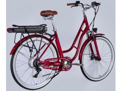 Dorozhnik eCORAL DD FR рама-19" 48B 13А*г 500Вт рубіновий 2026(ELB-D-28-117) | Фото 3