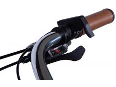 Dorozhnik eRUBY DD FR рама-17" 36B 13А*г 500Вт мокрий асфальт 2026(ELB-D-26-300) | Фото 3