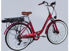 Dorozhnik eRUBY DD FR рама-17" 36B 13А*г 500Вт бордовий 2026(ELB-D-26-301) | Фото 3