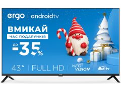 ERGO 43GFS6500 | Фото 1