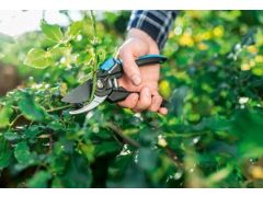 CELLFAST ERGO 41-020 | Фото 3