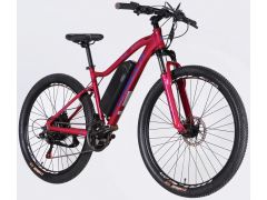 Formula eALPINA DD FR рама-17" 36B 12.5А*г 500Вт рожево-синій 2026(ELB-FR-27.5-046) | Фото 2