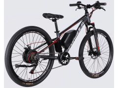 Formula eMOTION DD FR рама-13" 36B 10А*г 500Вт сіро-сріблястий (матовий) 2026(ELB-FR-26-152) | Фото 3