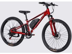 Formula eMOTION DD FR рама-13" 36B 10А*г 500Вт червоно-сріблястий 2026(ELB-FR-26-153) | Фото 2