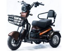 FORTE S1-P600, Коричневий (+Акумулятор 12V20A/25А 5шт) | Фото 1