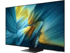 SAMSUNG QE55S95FAUXUA | Фото 2