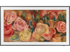 SAMSUNG QE75LS03DAUXUA | Фото 3