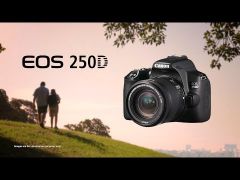 CANON EOS 250D kit 18-55 DC III Black (3454C009) | Фото 2