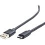 Cablexpert CCP-USB2-AMCM-10