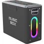 HiFuture MusicBox 100W Black (musicbox100.black)