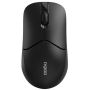 RAPOO 1510 Wireless Black (1510 Black)