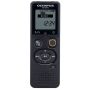 OLYMPUS VN-541PC E1 (4GB)