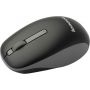 LENOVO Wireless Mouse N100 Black (888015276)