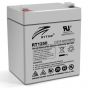 ИБП для внешних аккумуляторов RITAR 12V 5.0Ah (RT1250) AGM