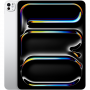 APPLE iPad Pro 13