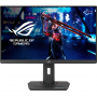 ASUS 24.5