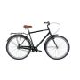 Dorozhnik 28 COMFORT MALE Velosteel frame-22 зелений(OPS-D-28-373)