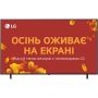 LG 65QNED80A6A