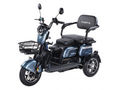 Трицикл FORTE FAMILY-WN1072G сірий