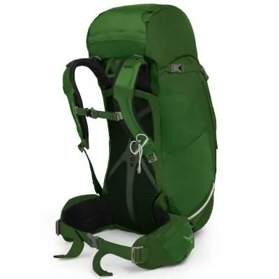 OSPREY Kestrel 38 Jungle Green M L 009.1188