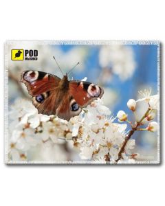 PODMYSHKU Весна-Бабочка